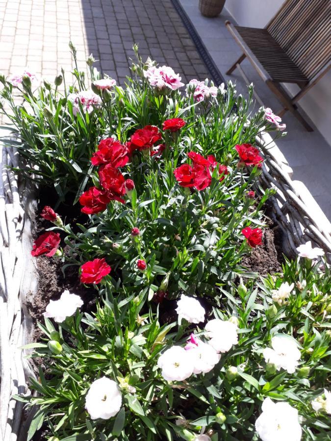 Appartement Apartma Natura Bled