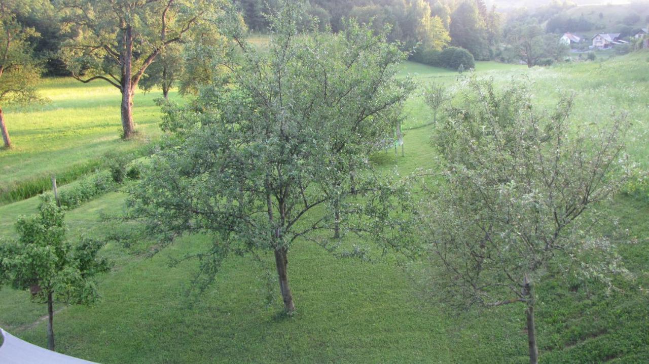 Apartma Natura Apartment Bled